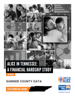 2020 ALICE Sumner County Summary