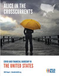ALICE in the Crosscurrents:  National Report cover